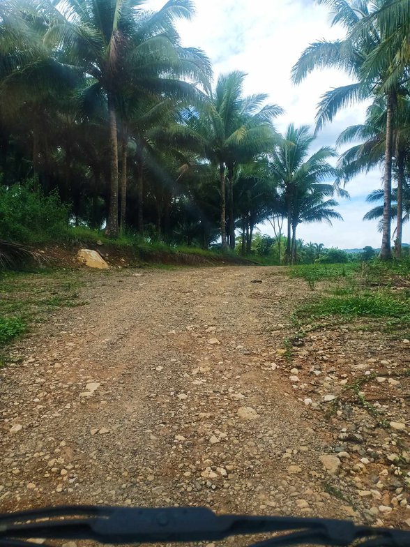 Agricultural Farm Lot For Sale Candelaria Quezon [119 Properties