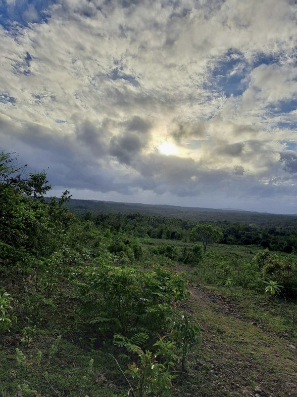 Residential Farm Lot For Sale Sibunag Guimaras [5 Properties] (November