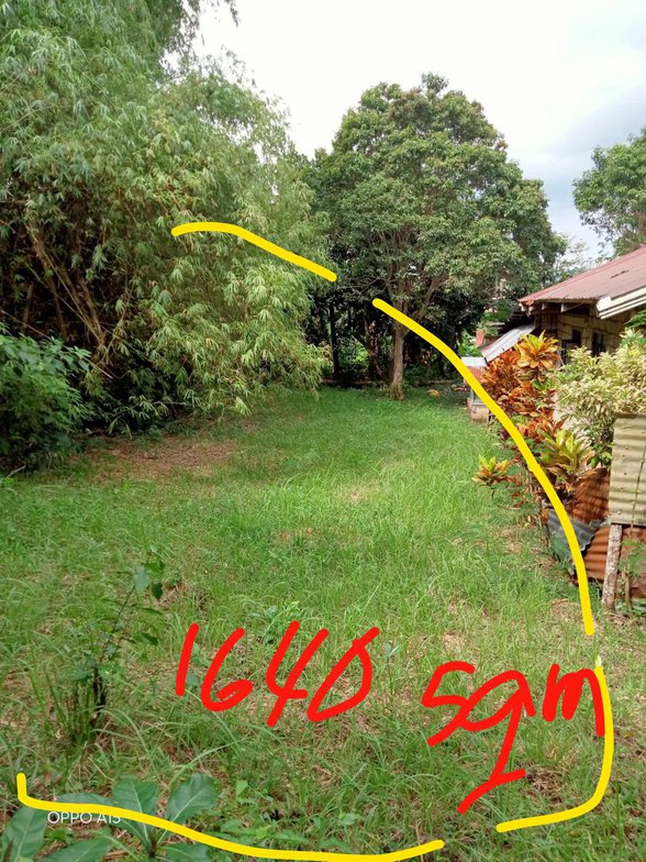 Residential Lot For Sale Tagbilaran Bohol 🚜 [78 Properties] (February