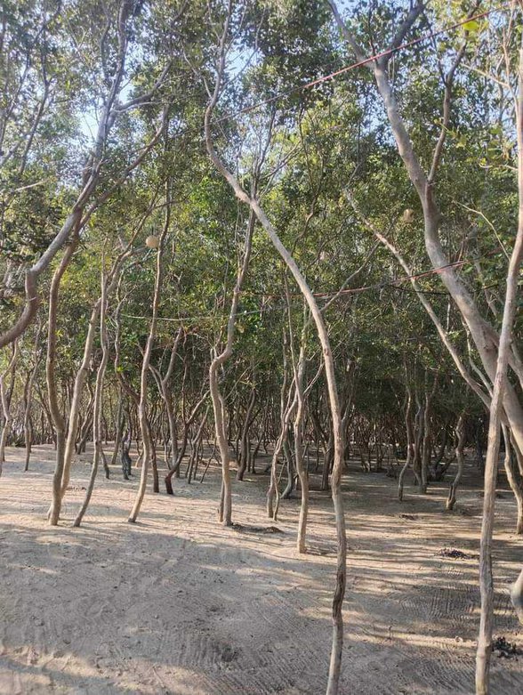 Beach Property For Sale Mabini Batangas 🏖️ [162 Properties] (January