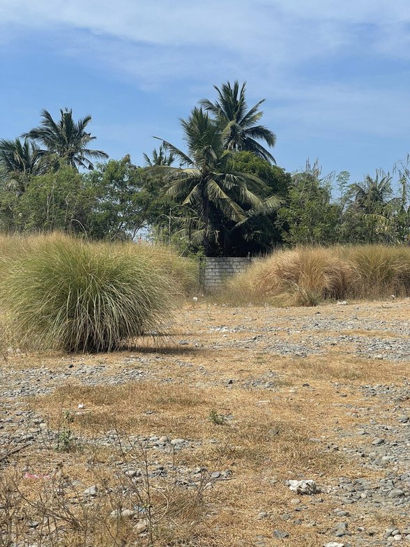 Longos San Fabian Pangasinan [11,093 Properties] (March 2024) on