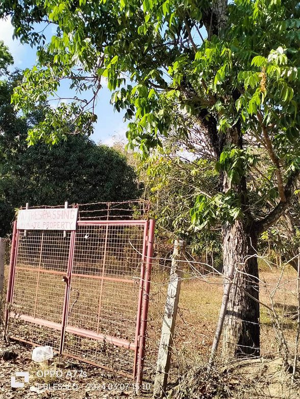 Residential Farm Lot For Sale Asingan Pangasinan 🚜 [45 Properties