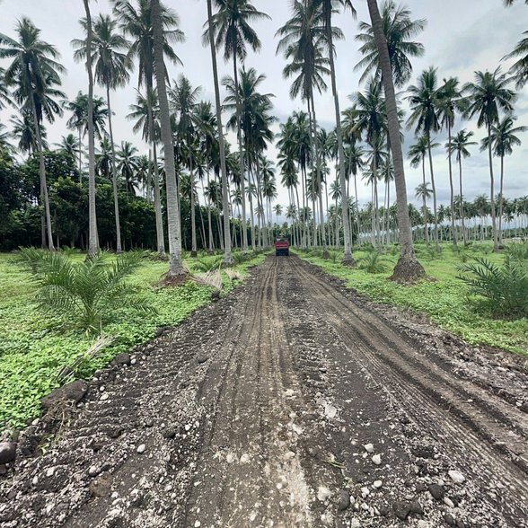 Agricultural Farm Lot For Sale Tayabas Quezon 🚜 [90 Properties
