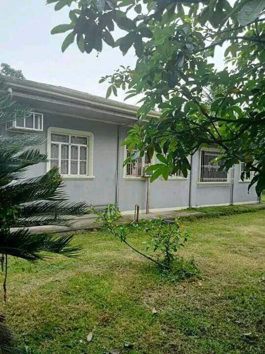 Rent To Own House Candelaria Zambales [41,705 Properties] (November