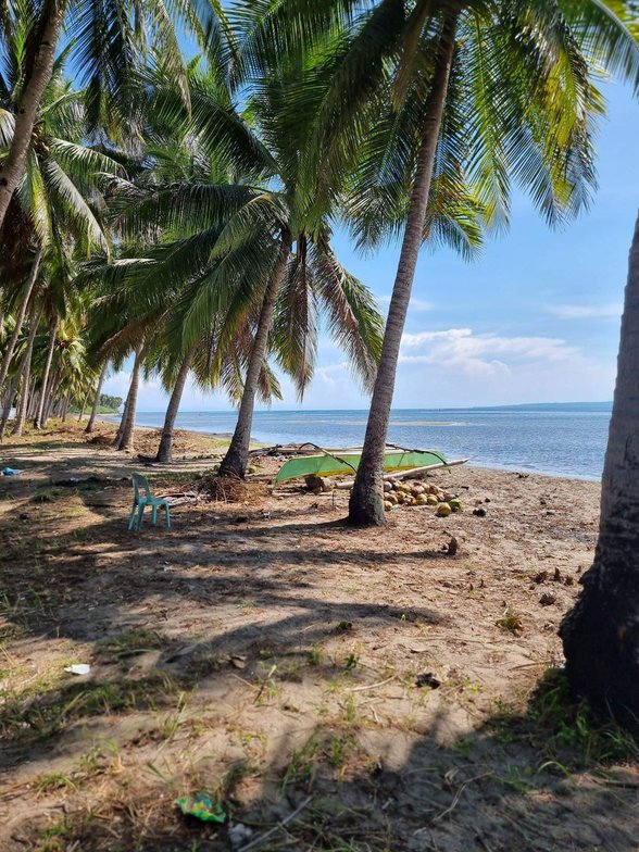 Tarragona Davao Oriental Properties [28,903 Properties] (July 2024) on