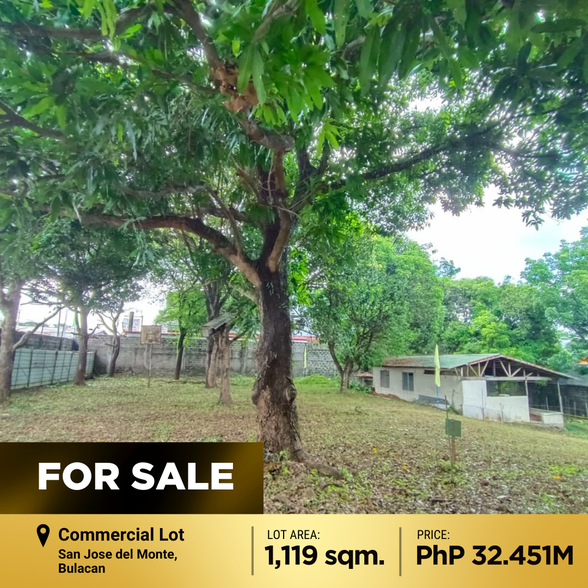Commercial Lot For Sale San Ildefonso Bulacan 🚜 [598 Properties] (June