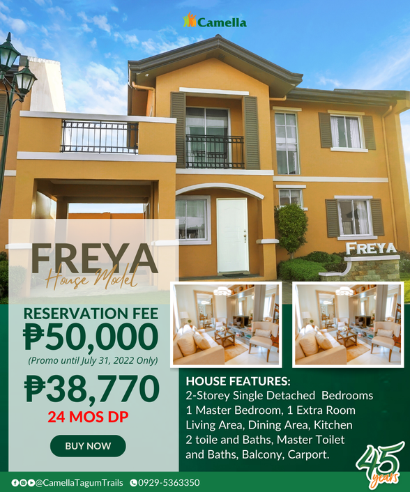 Wow Real Estate Development Alaminos Laguna [11,376 Properties