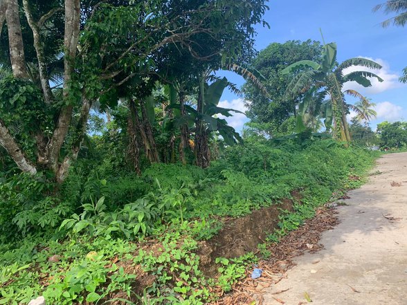 400 Sqm Lot For Sale 🚜 [12,119 Properties] (November 2022) on ... - Approximately 400 Sqm Selling Price