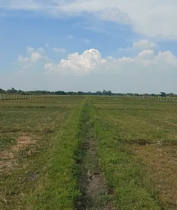 Lot For Sale New Clark City Capas Tarlac 🚜 [55 Properties] (January 2023) on