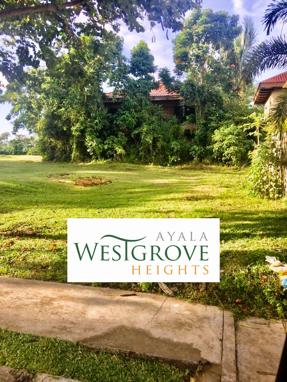 Foreclosed Farm Lot In Silang Cavite 🚜 [1,501 Properties] (June 2023