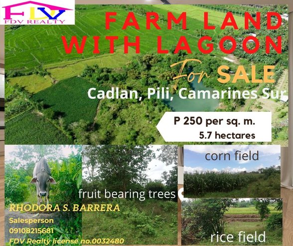 Agricultural Farm Lot For Sale Pili Camarines Sur 🚜 [12 Properties ...