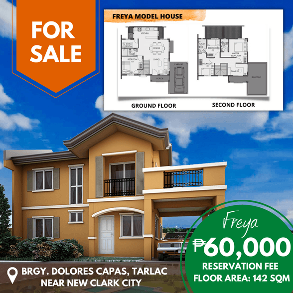 Residential Lot For Sale Concepcion Tarlac 🚜 [80 Properties] (August