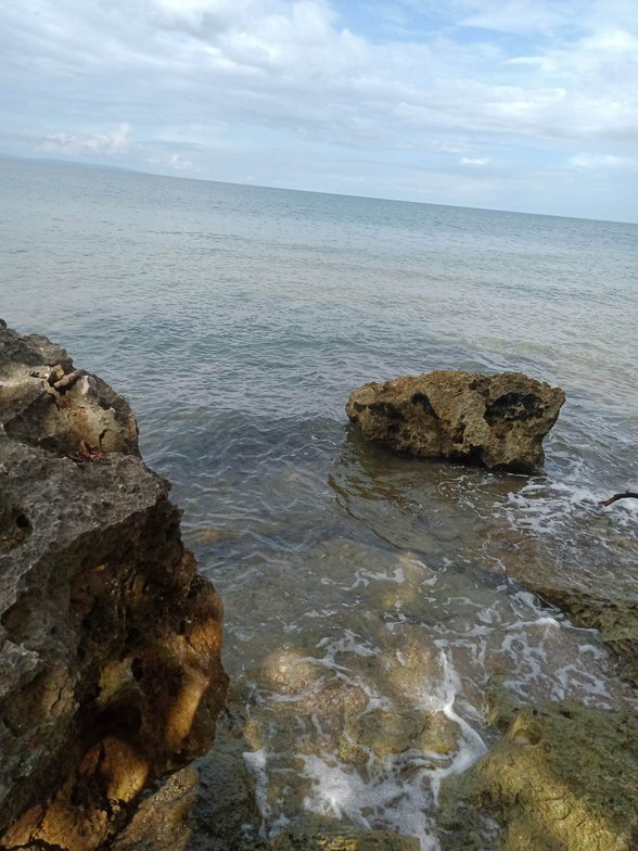 Residential Farm Lot For Sale Catmon Cebu 🚜 [62 Properties] (October