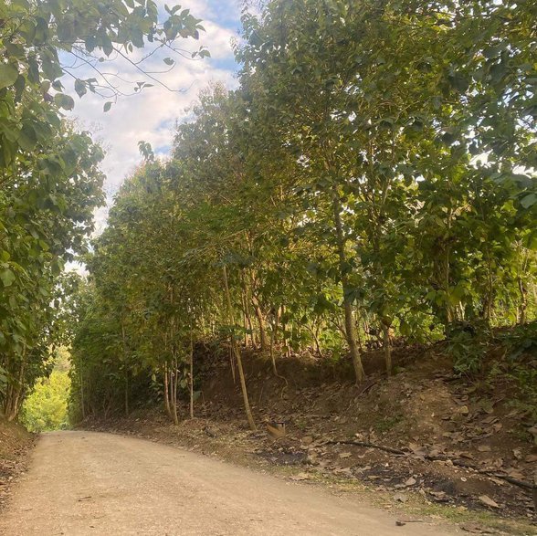 Lot For Sale Claveria Misamis Oriental 🚜 [93 Properties] (April 2024