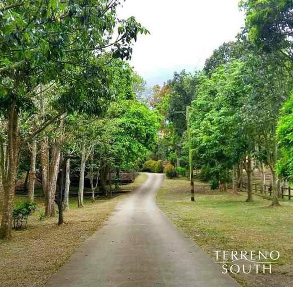 Terreno South Residential Lot For Sale [29,657 Properties] (April 2023