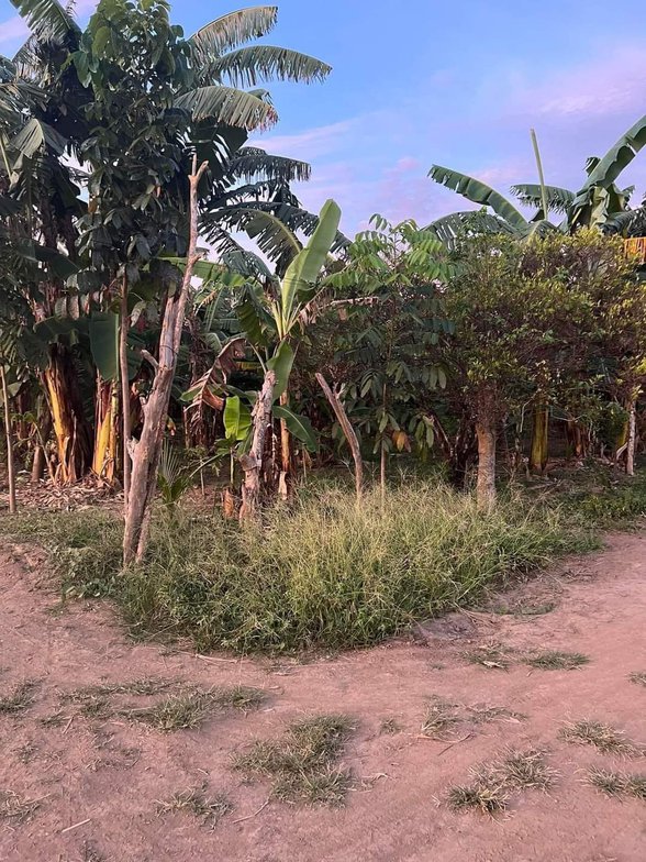 Residential Farm Lot For Sale Sariaya Quezon 🚜 [166 Properties] (June