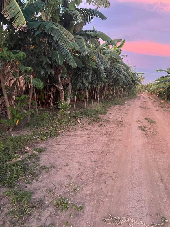 Farm For Sale In Quezon Province 🚜 [142 Properties] (June 2023) on