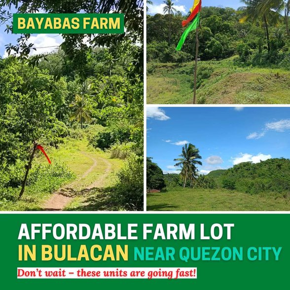 Little Palawan Drt Bulacan [4,188 Properties] (October 2023) on ...