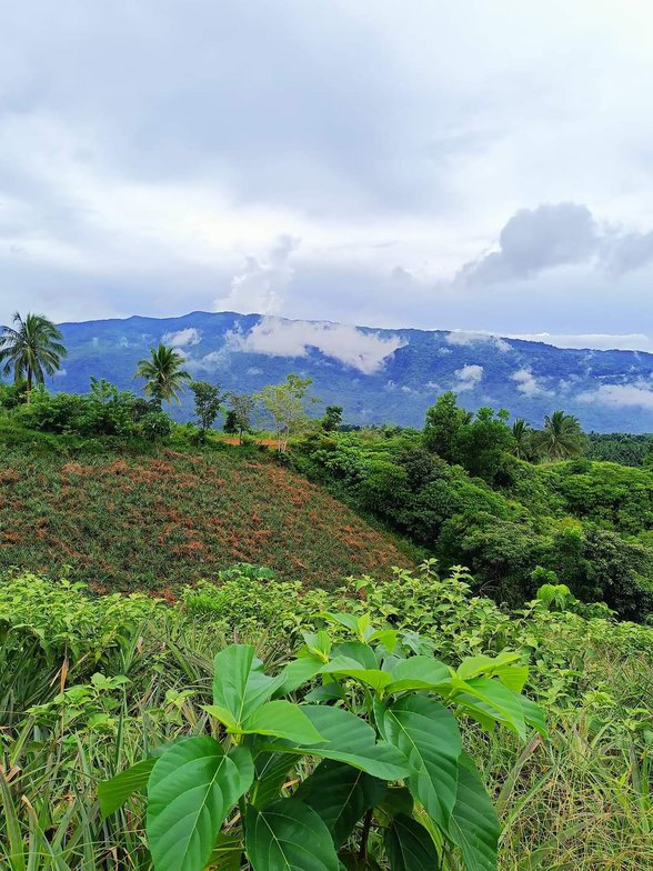 Farm Lot For Sale In Tanay Rizal 🚜 [395 Properties] (February 2023) on