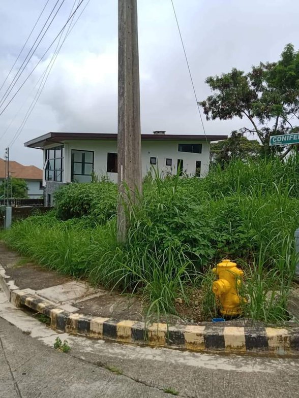 Affordable Lot For Sale Baguio City Economic Zone Baguio Benguet 🚜 [36