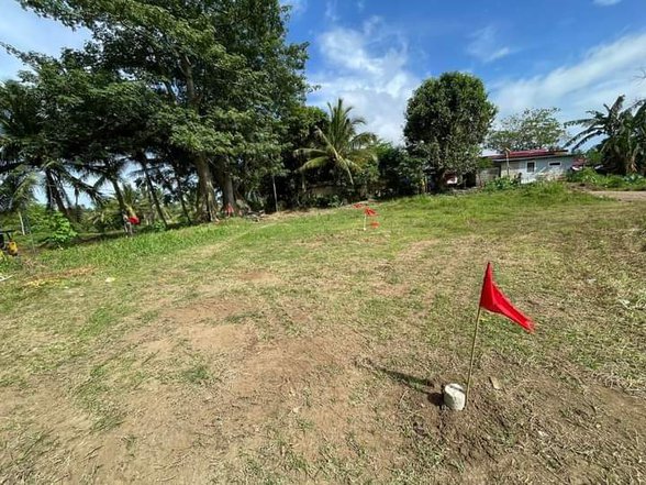 Lot For Sale By Owner San Luis Batangas [4,033 Properties] (November ...