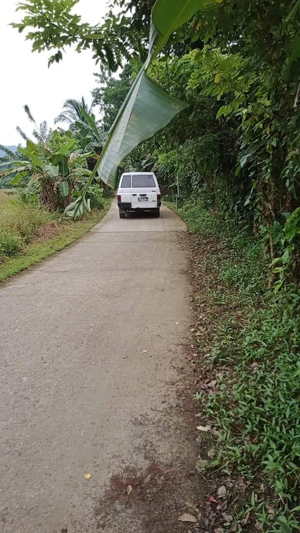 Lot For Sale Atimonan Quezon [252 Properties] (September 2024) on