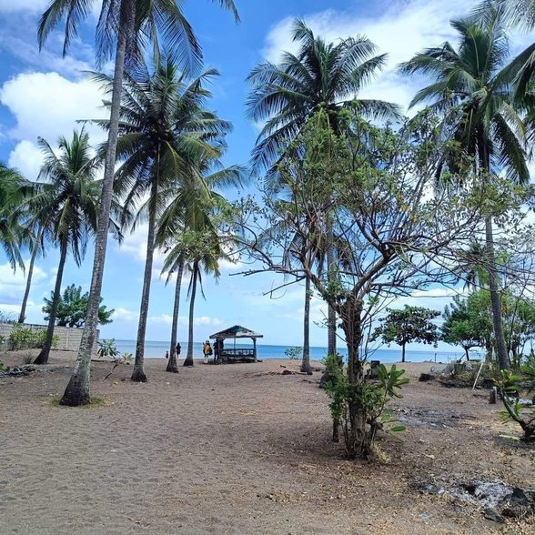 Affordable Beach Property For Sale Philippines 🏖️ [537 Properties