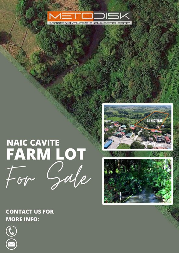 Residential Farm Lot For Sale Naic Cavite 🚜 [428 Properties] (December