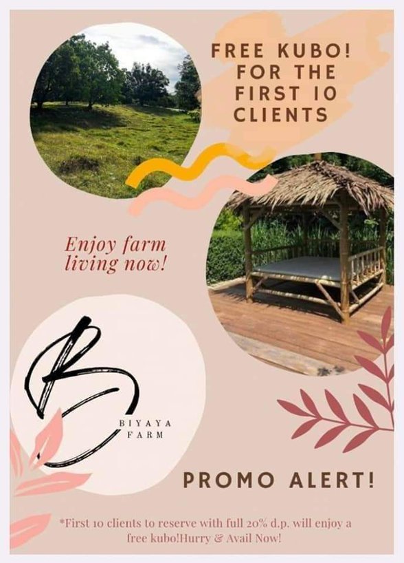 Cavite Minimum Wage 2023 [9,880 Properties] (July 2023) on