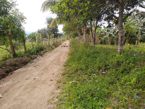 Tupi South Cotabato Properties [423 Properties] (september 2024) On 