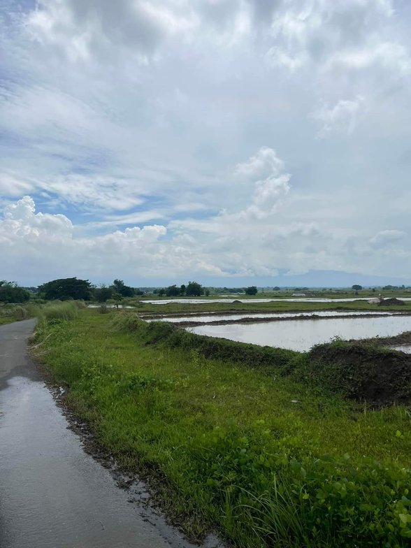 Agricultural Farm Lot For Sale Bolinao Pangasinan [127 Properties