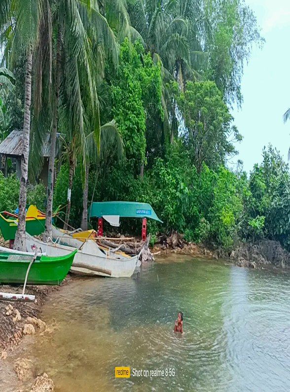 Residential Lot For Sale Daanbantayan Cebu 🚜 [322 Properties