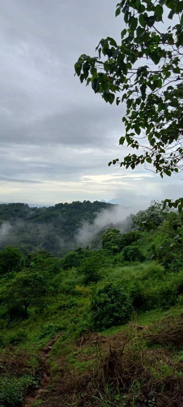 Gulod Tanay Rizal [4,970 Properties] (January 2024) on