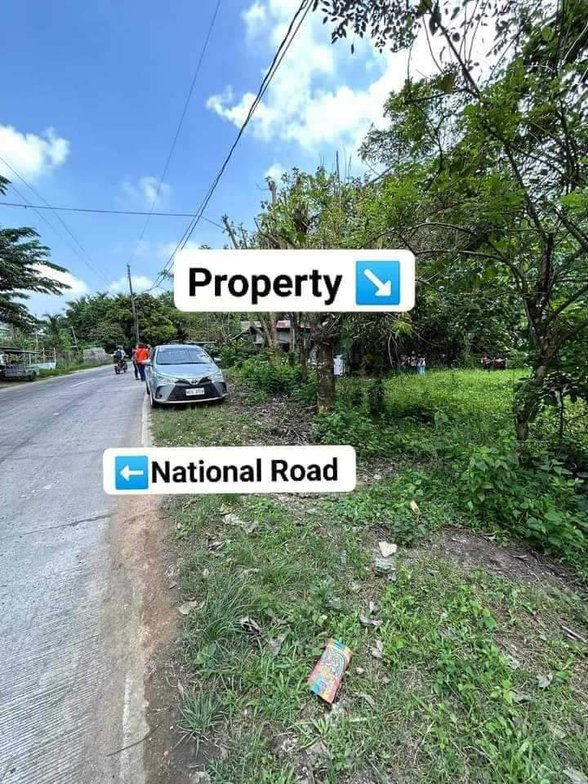 Agricultural Farm Lot For Sale Dona Remedios Trinidad Bulacan 🚜 [75