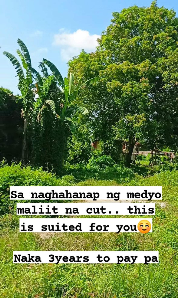 Residential Farm Lot For Sale Candelaria Quezon 🚜 [44 Properties] (January 2024) on