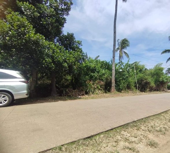 Lot For Sale Corella Bohol 🚜 [225 Properties] (March 2024) on