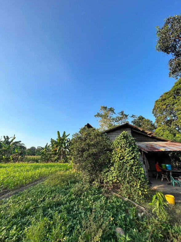 Residential Farm Lot For Sale Balungao Pangasinan [39 Properties