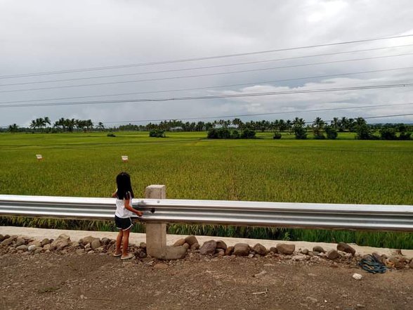 Agricultural Farm Lot For Sale Trento Agusan Del Sur [4 Properties ...