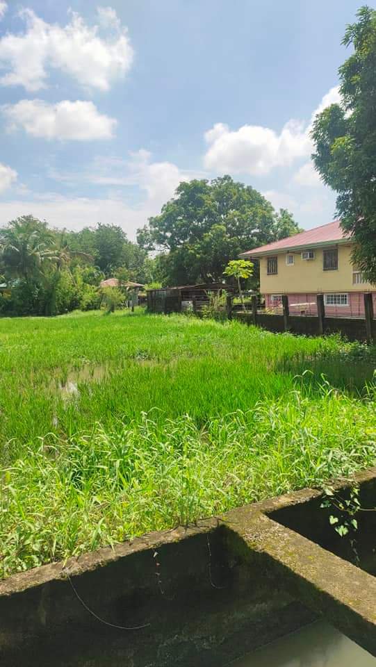 Farm Lot For Sale Balagtas Bigaa Bulacan [99 Properties] (March 2025 ...