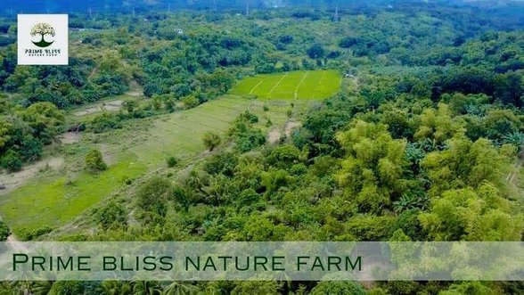 Residential Farm Lot For Sale Limay Bataan [1 Property] (September 2024 ...