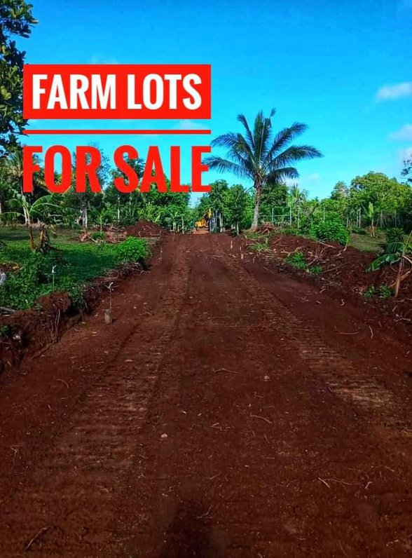 Farm Lot For Sale In Silang Cavite 🚜 [143 Properties] (July 2021) on