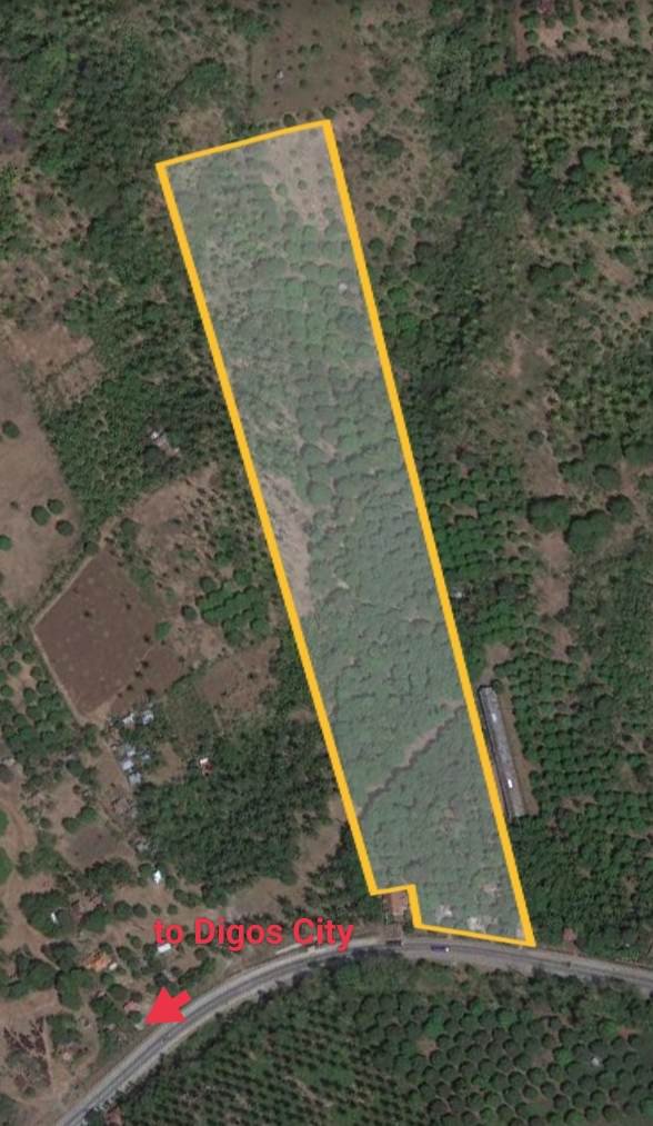 Agricultural Farm Lot For Sale Santa Cruz Davao Del Sur 🚜 [14