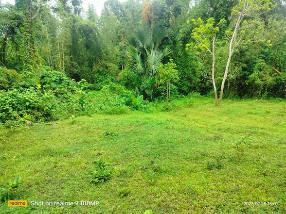 Gubas Tree [2,090 Properties] (March 2024) on OnePropertee.com