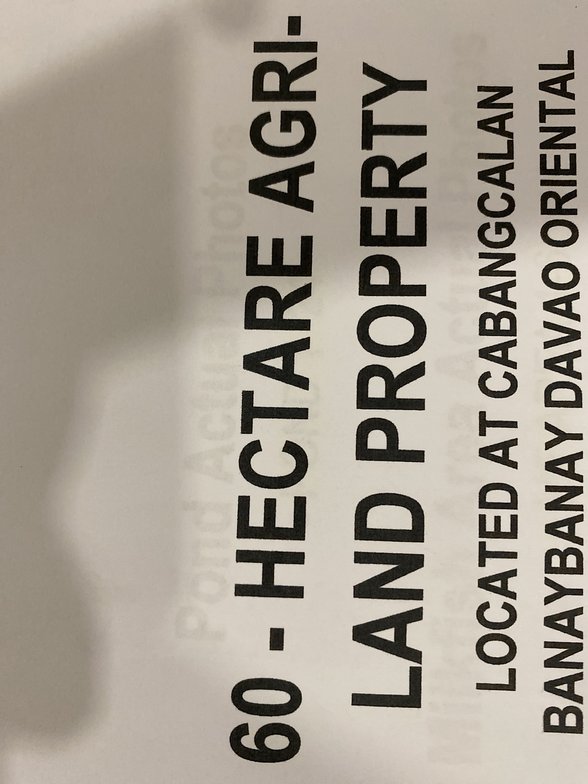 Lots For Sale Davao Oriental [53,371 Properties] (September 2024) on