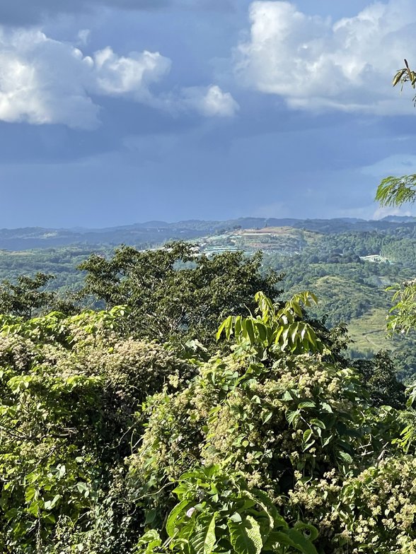 Foreclosed Properties In Tanay Rizal [1,067 Properties] (February 2024