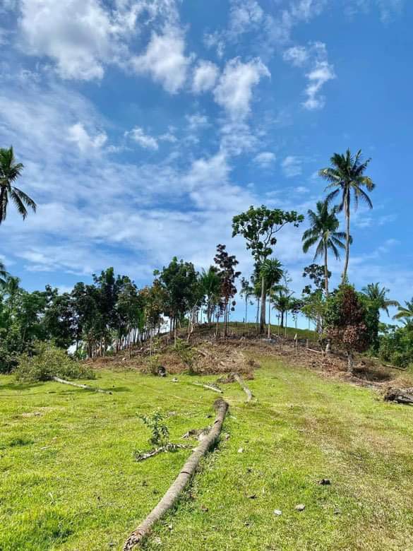 Residential Farm For Sale Tubigon Bohol [79 Properties] (November 2024 ...