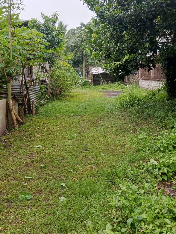 Low Cost House And Lot For Sale Tiaong Quezon 🏘️ [227 Properties] (May