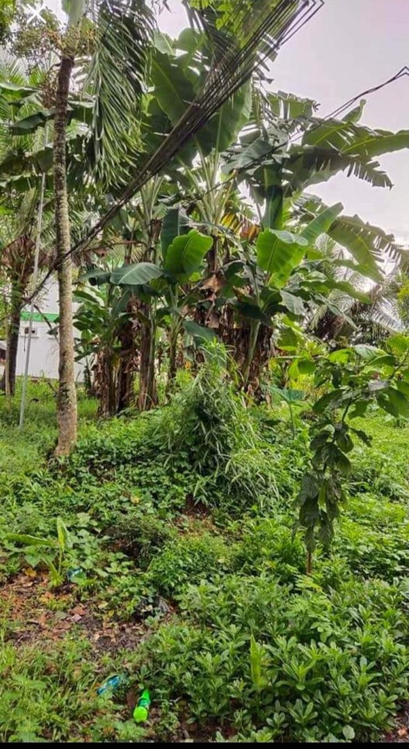 Residential Lot For Sale Infanta Quezon 🚜 [77 Properties] (June 2023