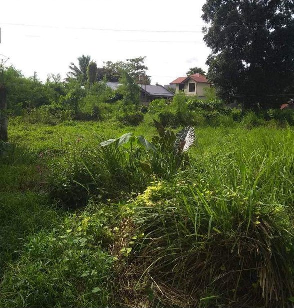 Residential Lot For Sale Kabankalan Negros Occidental 🚜 [59 Properties