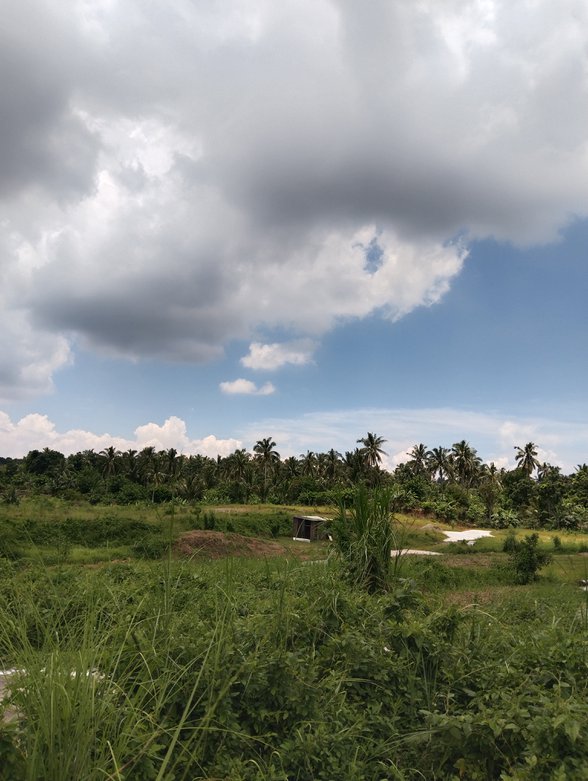 Riviera Silang Cavite Lot For Sale [32,083 Properties] (June 2023) on ...